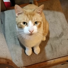 my best friend is gone :(