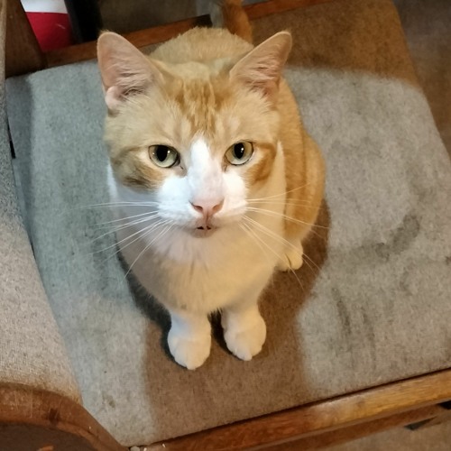 my best friend is gone :(