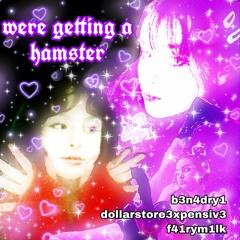 were getting a hamster