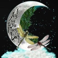 take u 2 the moon (reklus1ve)