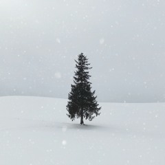 Ecstatic Fire Dance: Through the Shadows Vol. 4 - THE LONG DARK - DJ Mix Set