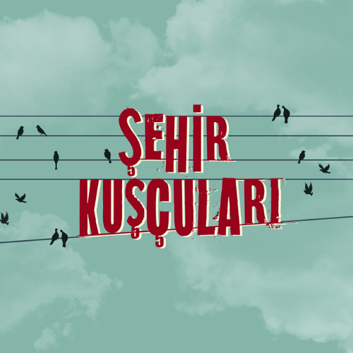Şehir Kuşcuları - 32.Bölüm - Kuşları beslemeyin!