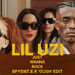Just Wanna Rock (SpydaT.E.K 'Gush' Edit)