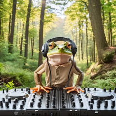 AndArc @ BOUNCY LIVE DOWNTEMPO! - CLUB PLAY Secret Destination