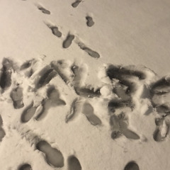 Game Over (Prod. Ochoo)