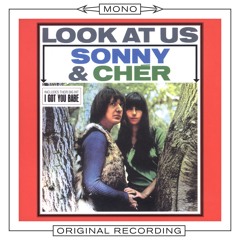 I Got You Babe (Single Version Mono)