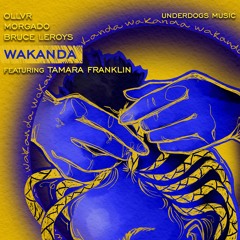 Ollvr, Morgado, Bruce Leroys feat. Tamara Franklin (Underdogs Remix)