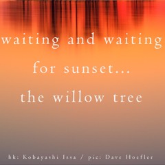 Sunset News Weight(naviarhaiku357)