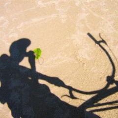 Salmo (Prod. skunkmonkk)