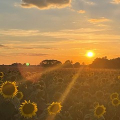 Jack Harlow Type Beat "Happier" Rap Type Beat 2024