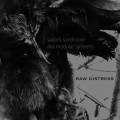 𝐬𝐚𝐯𝐚𝐧𝐭 𝐬𝐲𝐧𝐝𝐫𝐨𝐦𝐞 aka. 𝖒𝖔𝖉𝖚𝖑𝖆𝖗 𝖘𝖞𝖘𝖙𝖊𝖒𝖘_ 'Raw Distress'