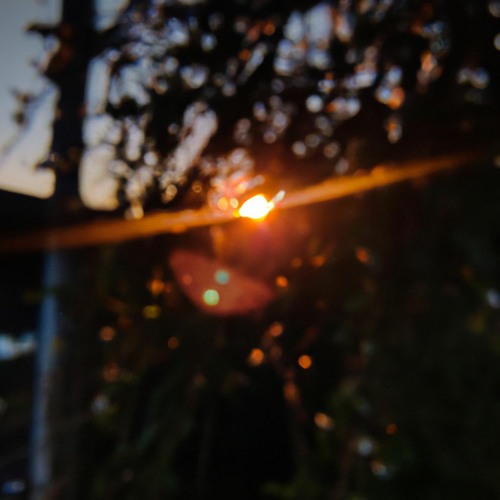 End of summer, light between your eyes  |  for ensemble (2022)