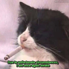 who asked for this? .mp3