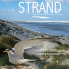 Strand - Kort puntig