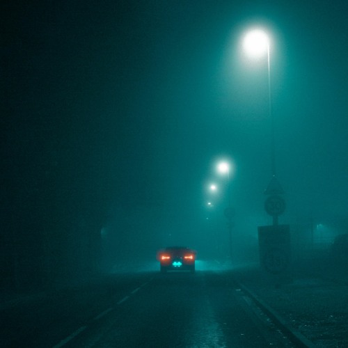 driver in the mist