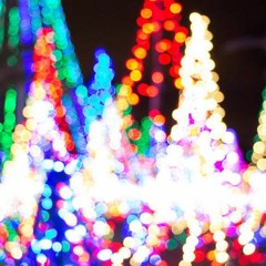 still waters run deep