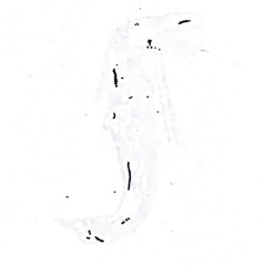 COLLECTIVE MEMORY (INTEL 1)