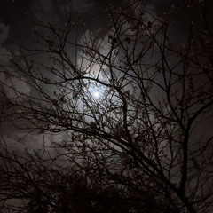 ‎⁨طلال مداح-رحمة الله عليه⁩