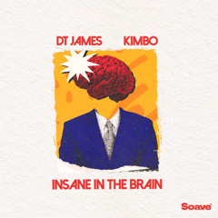 DT James & Kimbo - Insane In The Brain