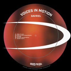 GTG Premiere | GAVRIEL - Rite Of Voice [GFS008]