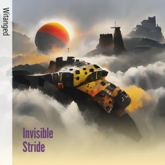 Invisible Stride