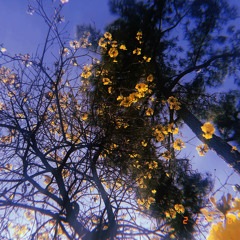 P(he)art 2