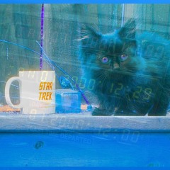 Ajamasin_disquiet0503