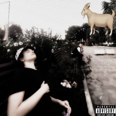 mam dus in Polonia feat.young.rzezucha