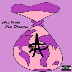 Ace Mula - New Dreams