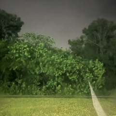 chosen (nigerianperc)