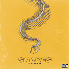 Snakes (feat. Mckay)