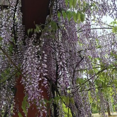 4-19-19 RARE XXXTENTACION MIX BY ETHERNALSWORD