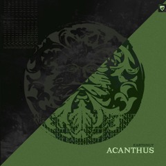 Earthnut - Acanthus (STPT087)