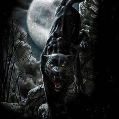 🐦‍⬛underwrld 🏁