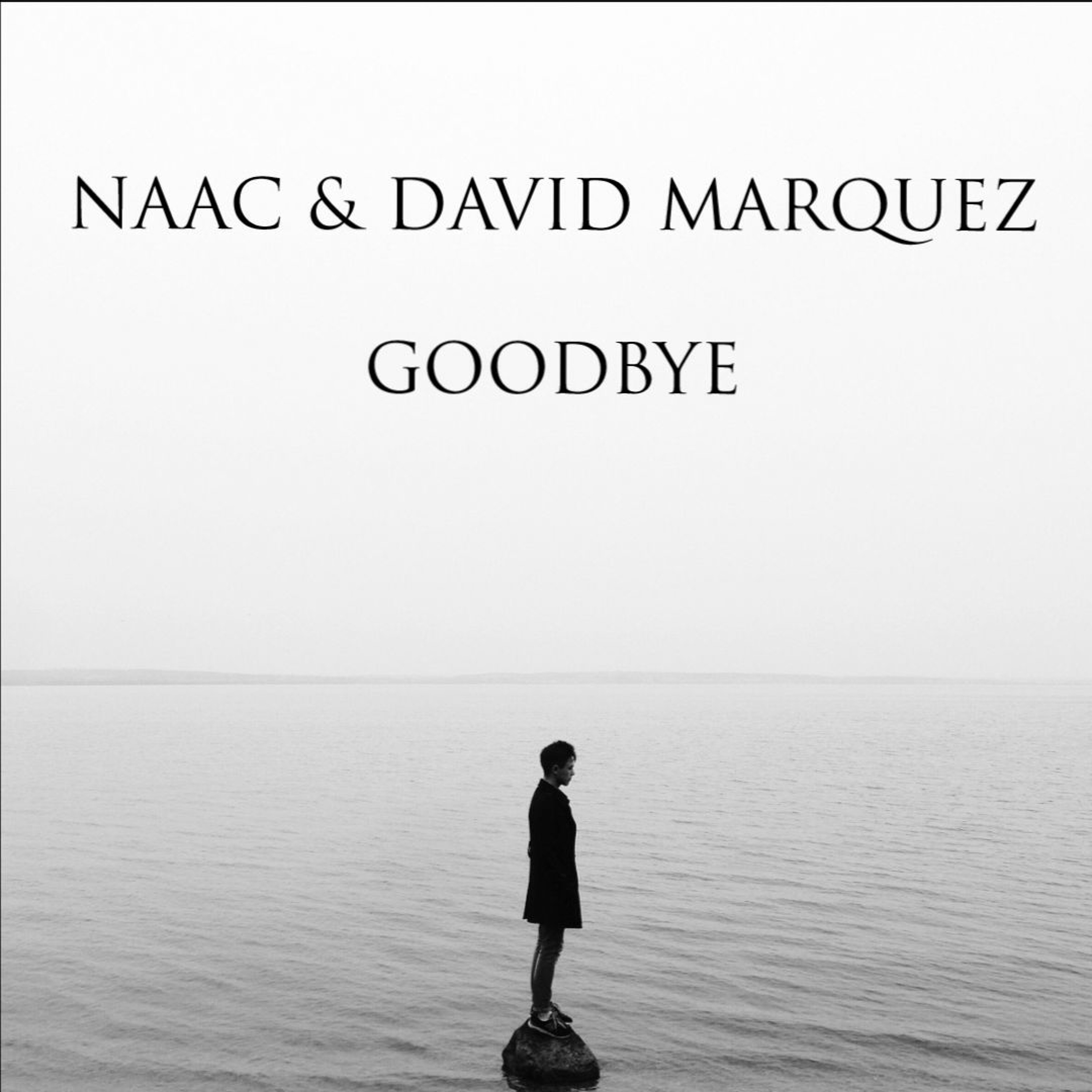 DJ David Marquez