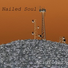 Nailed Soul