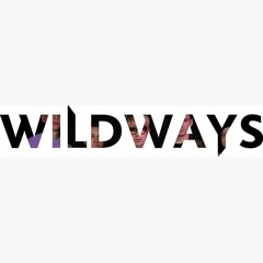 Wildways - Live VK Fest 2022 - 432 Hz