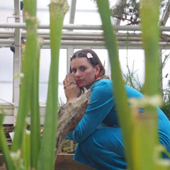 midnight gruuv instrumental