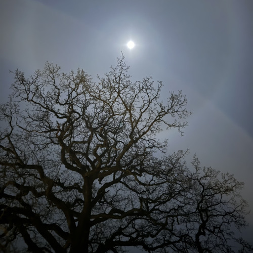 lone & blind - drexis「 prod. novachance 」