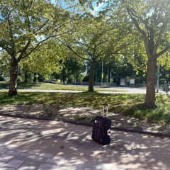 My Song 51 (Zeeburg)