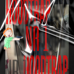 Hoodtrap nr1