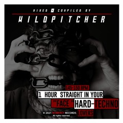 WILDPITCHER - 145-150 BPM 1 Hour Straight In Your Face HT Lovers