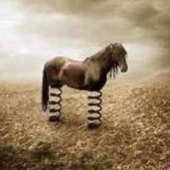 hay hay