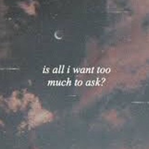 All I want/Olivia Rodrigo/cover/