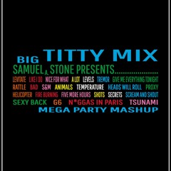 Big Titty Mix - Vol. 1 (Mega Party Live Mashup)