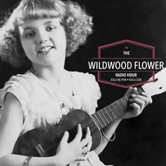 Wildwood Flower Radio Hour Show #18 with Echo Mountain, Will Worden and Smoke Holler