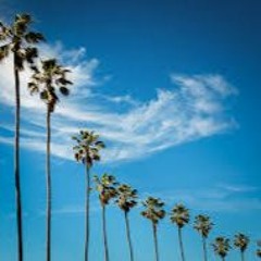 Nebu Kiniza - Skert On Em'