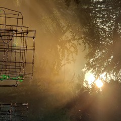 I Think There's Something In The Tea