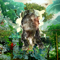 Wampís of Guayabal & Aboutface 070625