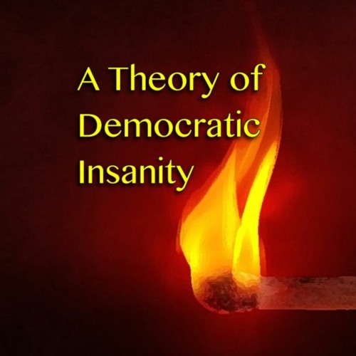 A Theory of Democratic Insanity